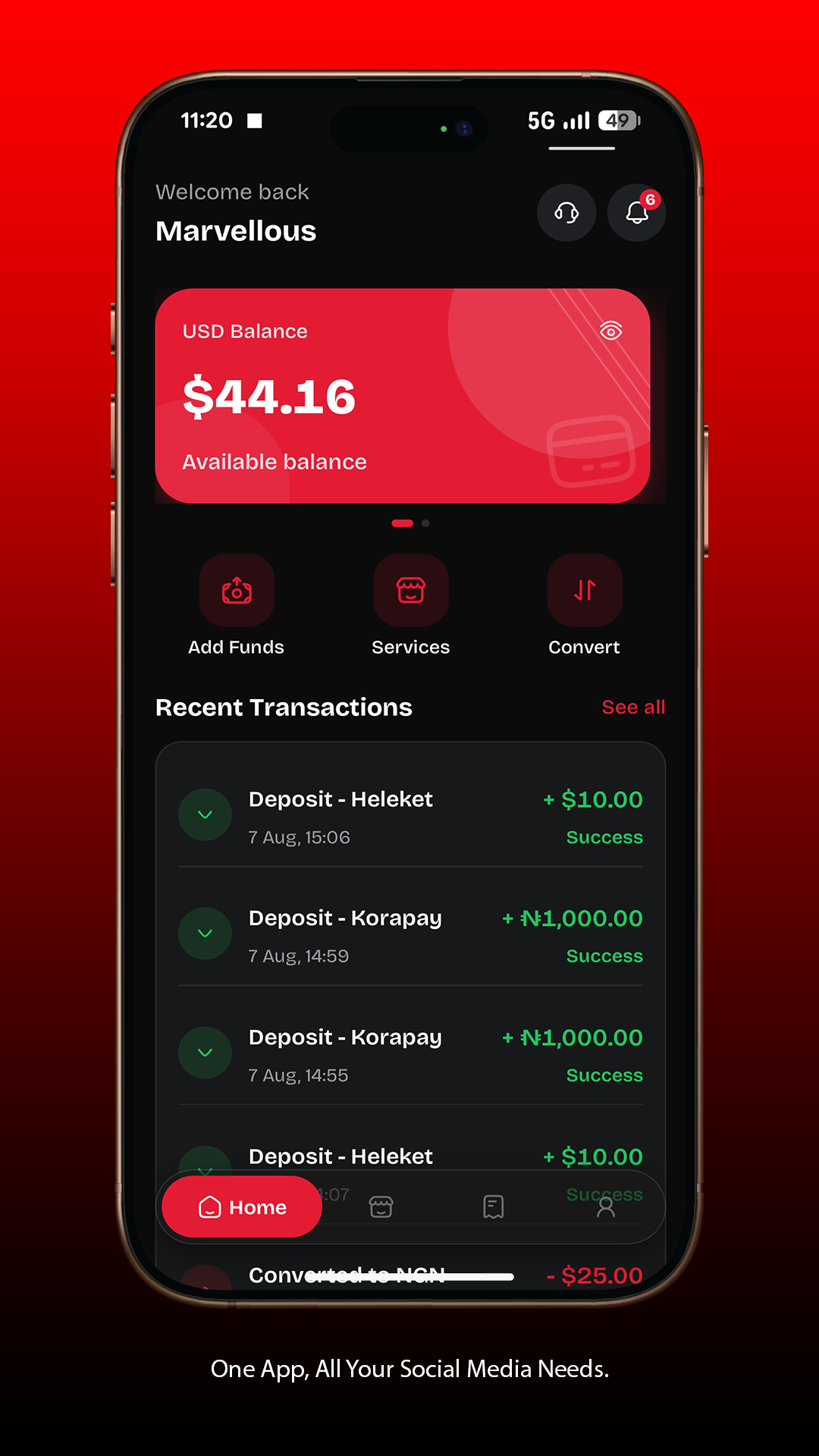 THEARVE SMM Dashboard with USD balance